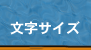 文字サイズ